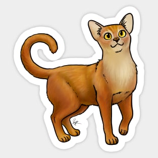 Cat - Abyssinian - Ruddy Sticker